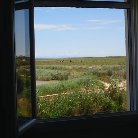 سانت ماري دو لا مير Chambre Les Flamants, Avec Vue Imprenable Sur Les Etangs, Les Oiseaux, La Nature, Petit Dejeuner Compris المظهر الخارجي الصورة