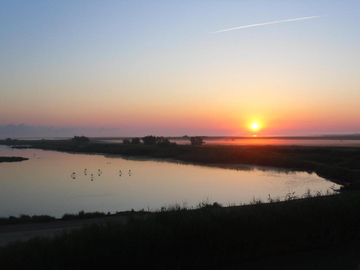 سانت ماري دو لا مير Chambre Les Flamants, Avec Vue Imprenable Sur Les Etangs, Les Oiseaux, La Nature, Petit Dejeuner Compris المظهر الخارجي الصورة