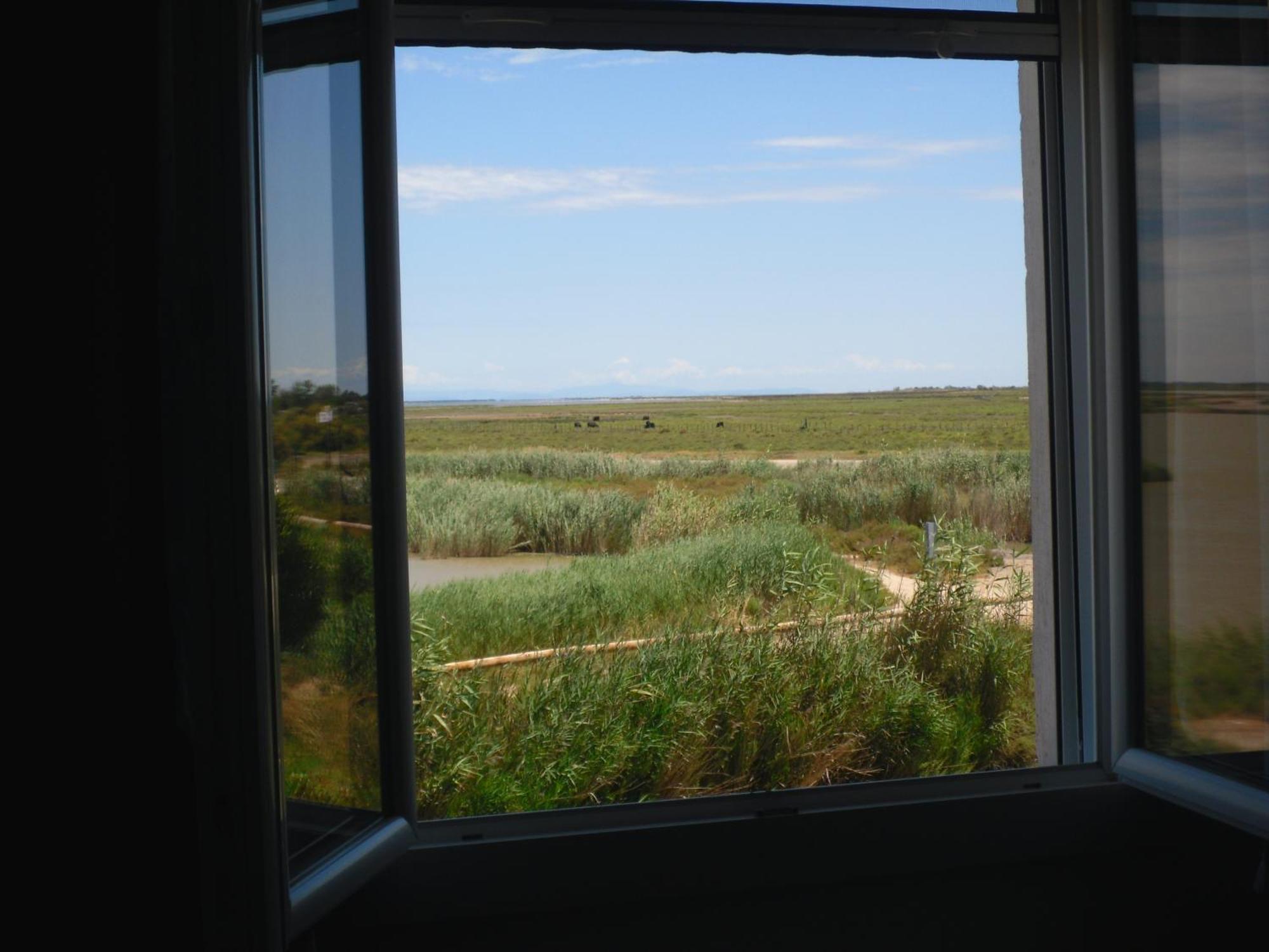 سانت ماري دو لا مير Chambre Les Flamants, Avec Vue Imprenable Sur Les Etangs, Les Oiseaux, La Nature, Petit Dejeuner Compris المظهر الخارجي الصورة